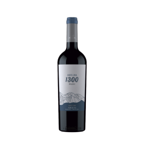 Andeluna 1300 Malbec