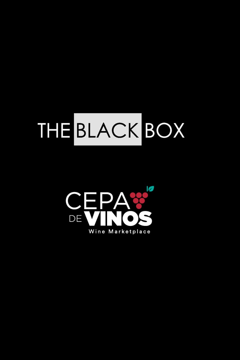 THE BLACK BOX