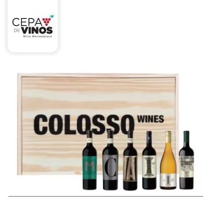 Colosso Wines Caja Presentacion Estuche Madera x6